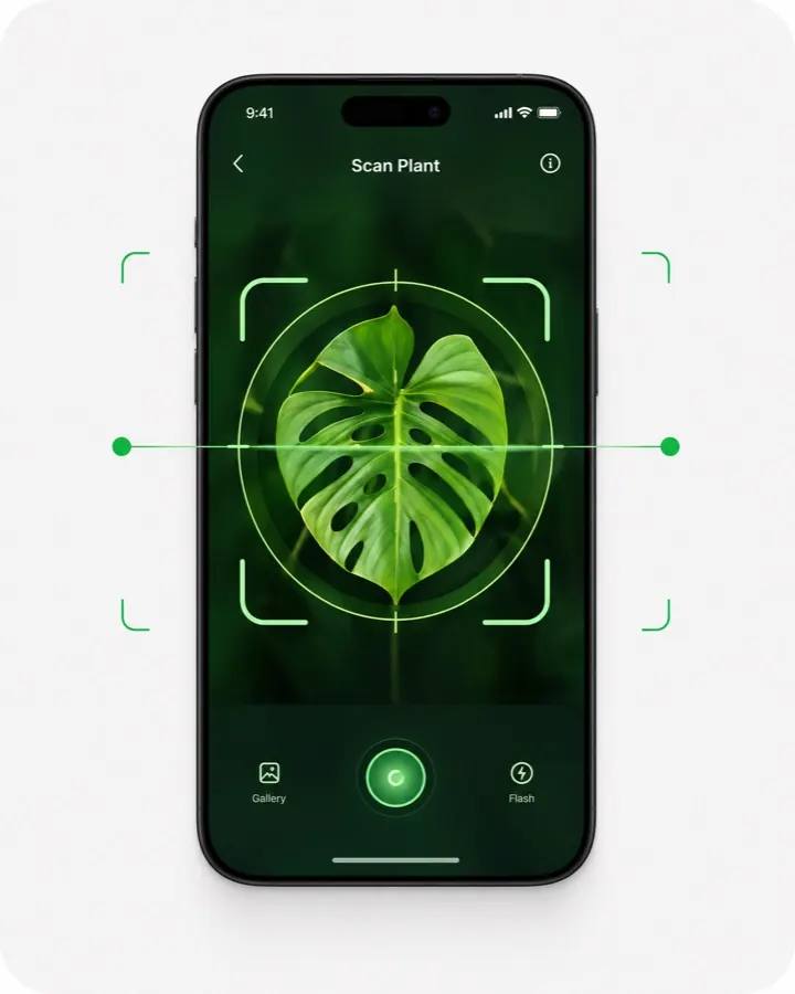 AI plant scanner detecting a Monstera leaf